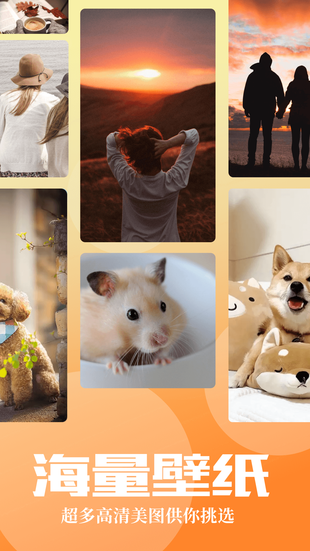 精彩截图-CC工具魔盒2026官方新版