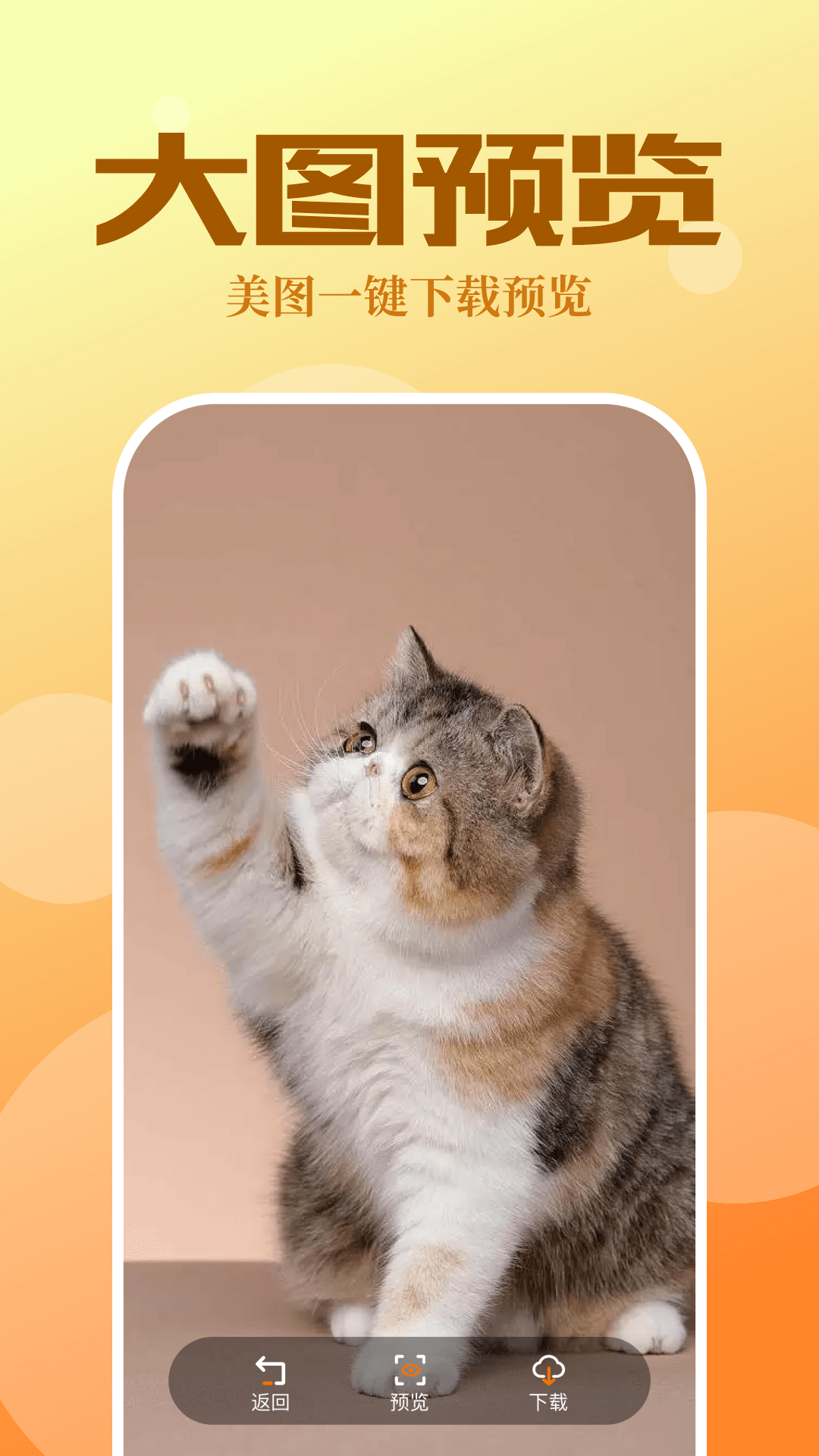 精彩截图-CC工具魔盒2026官方新版