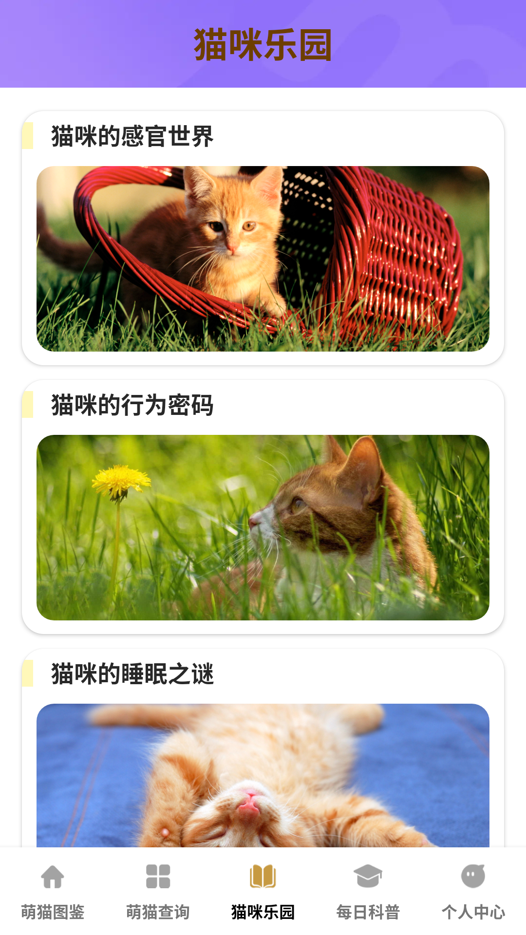 精彩截图-家有萌猫2025官方新版