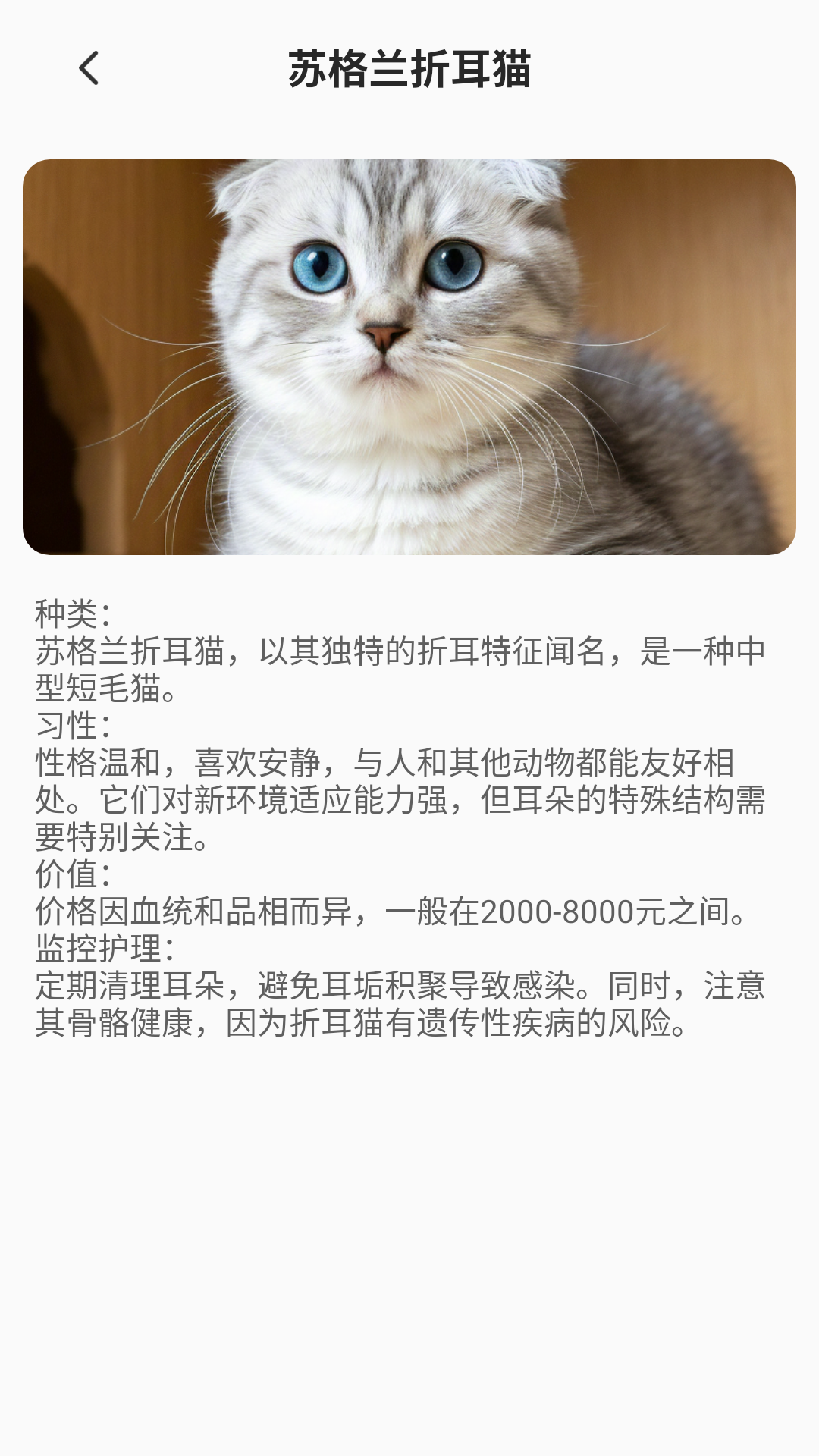 精彩截图-家有萌猫2025官方新版