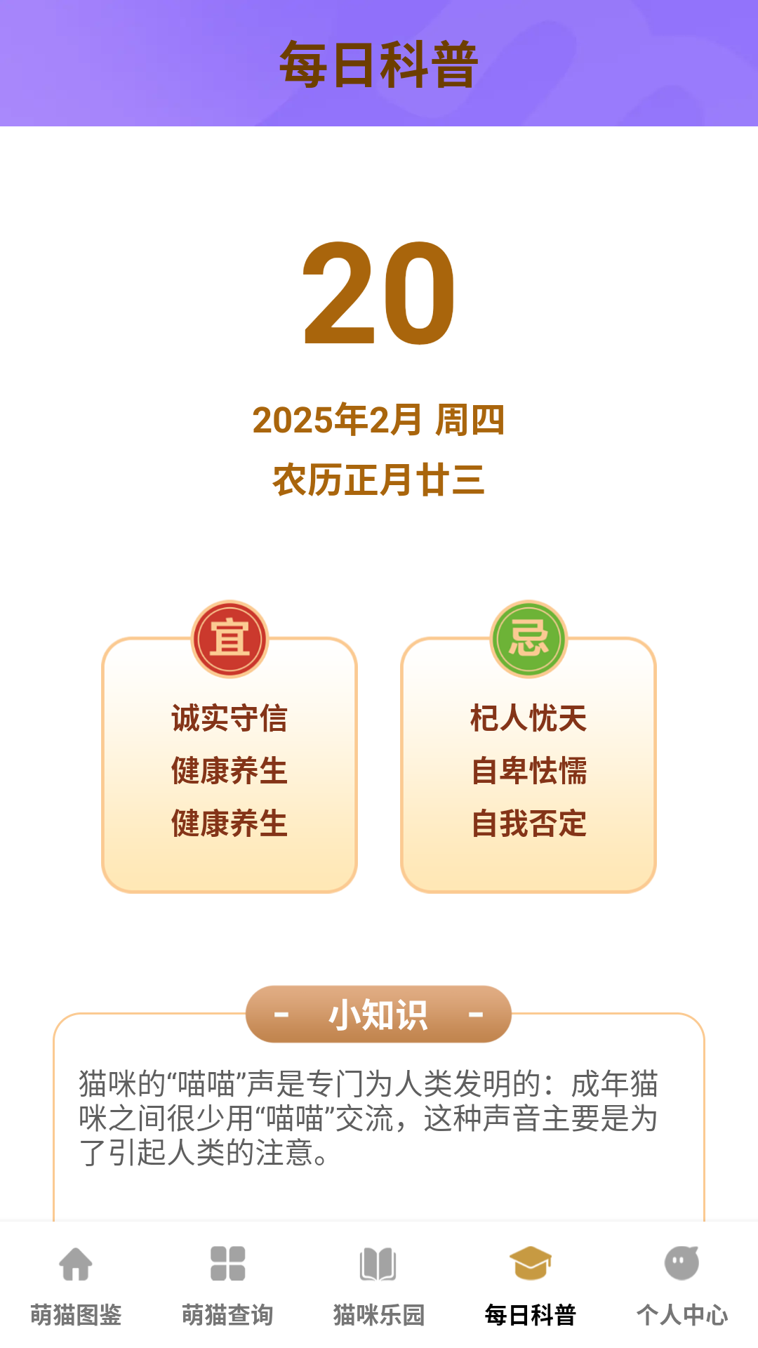 精彩截图-家有萌猫2025官方新版