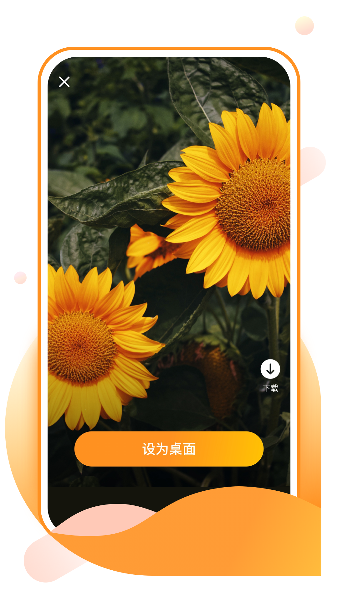 精彩截图-元气手机壁纸2026官方新版