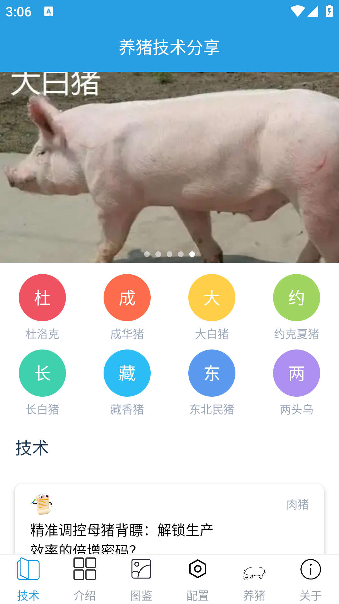 精彩截图-赚钱的养猪场2025官方新版