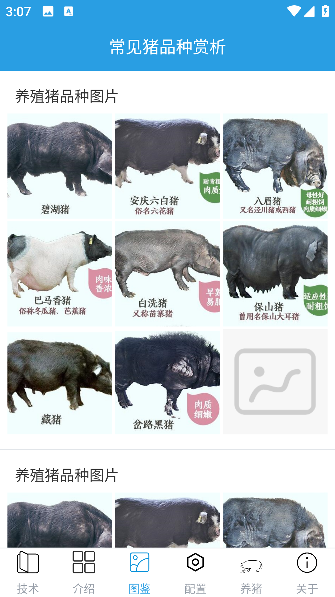 精彩截图-赚钱的养猪场2025官方新版