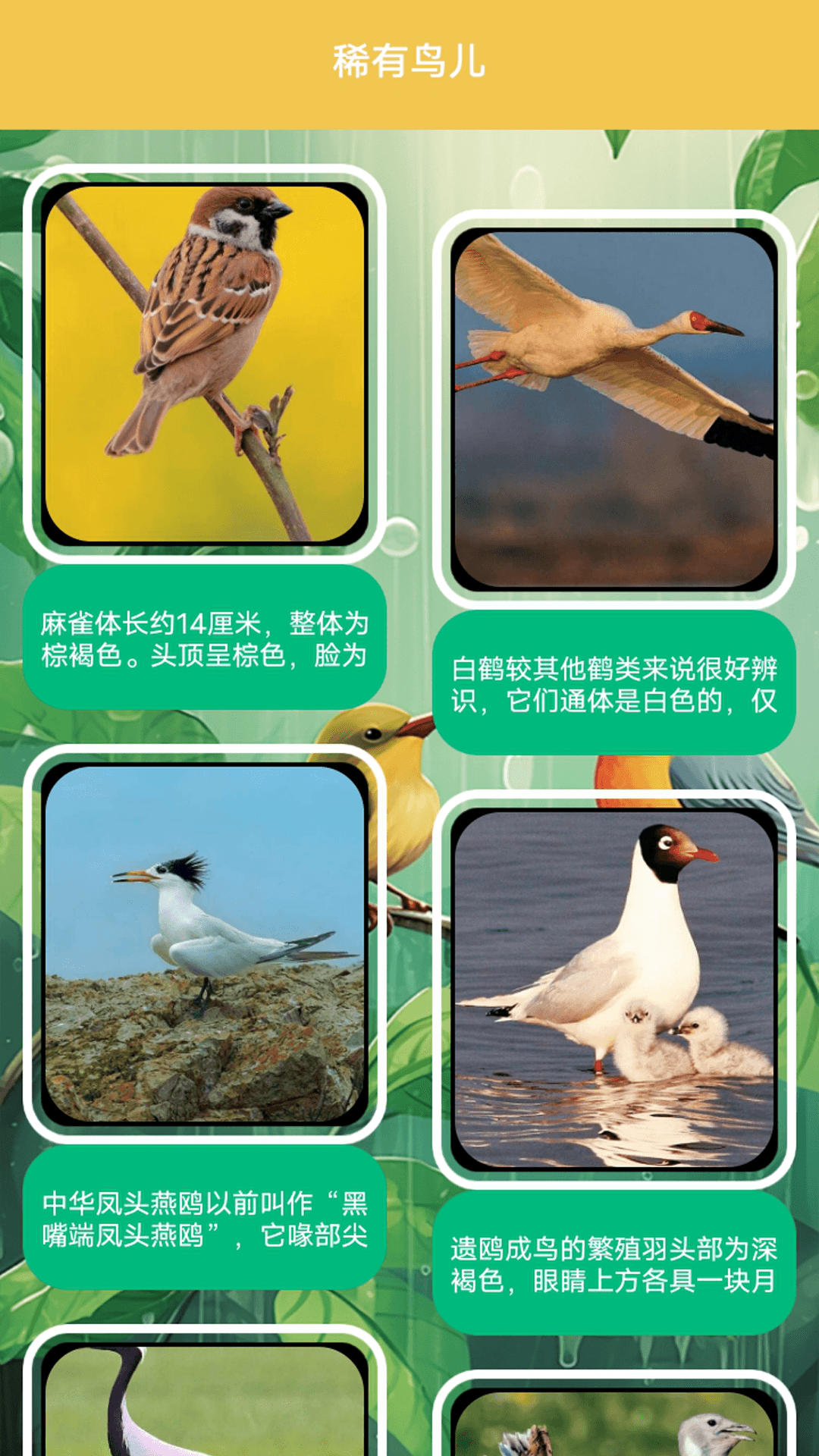 精彩截图-孤独的茑儿2026官方新版