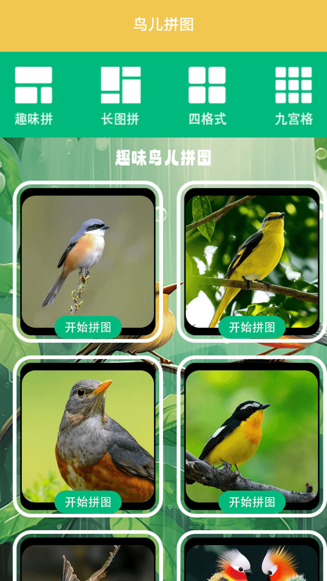 精彩截图-孤独的茑儿2026官方新版