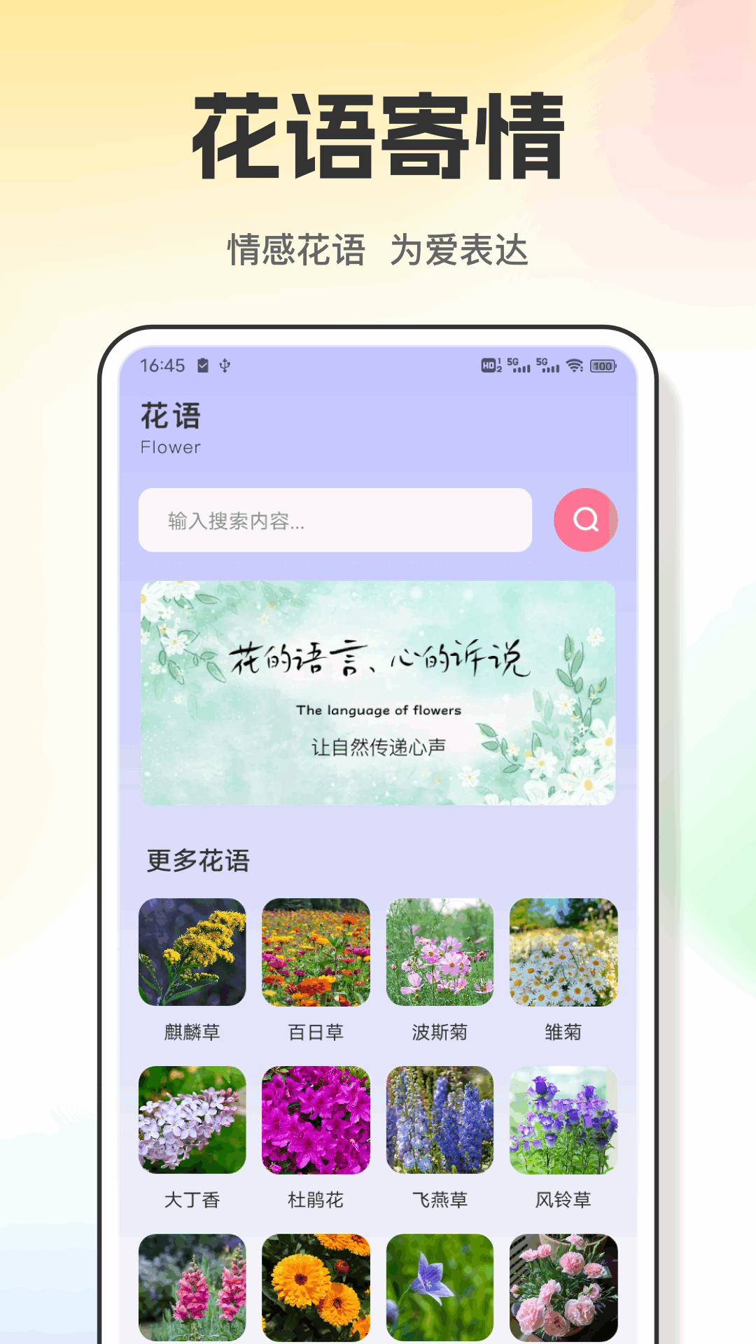 精彩截图-繁花之路2025官方新版