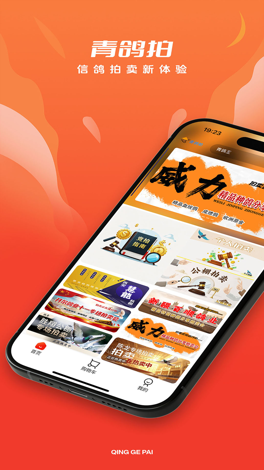 精彩截图-青鸽拍2026官方新版