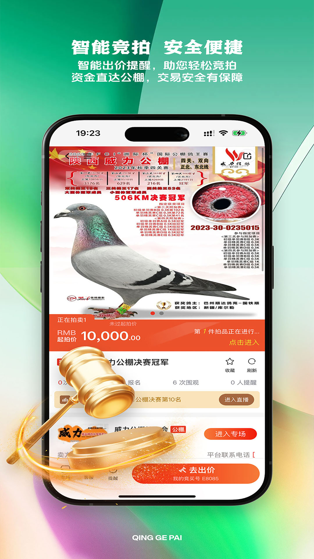 精彩截图-青鸽拍2026官方新版