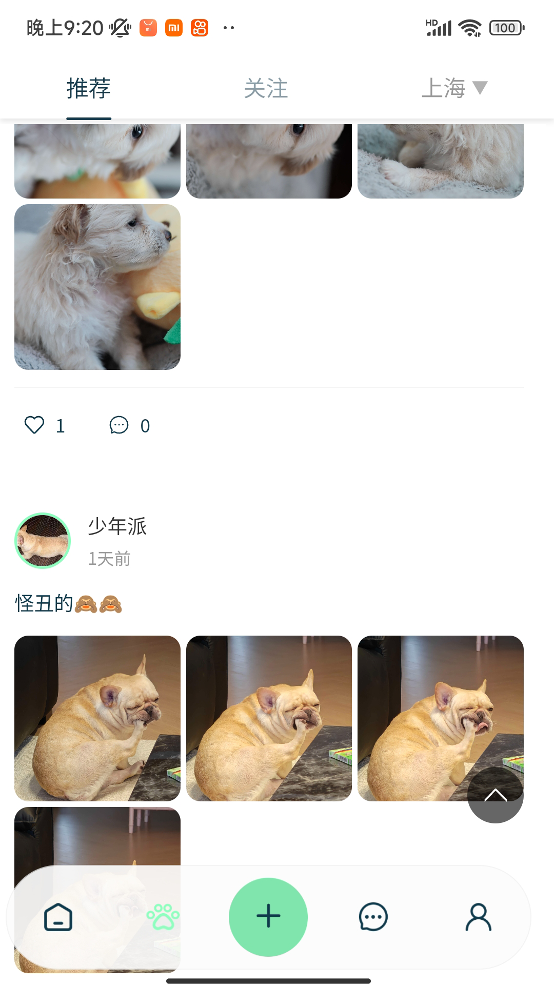 精彩截图-PetMeet2026官方新版