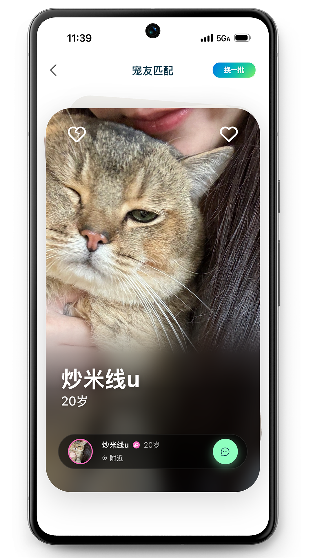 精彩截图-PetMeet2026官方新版