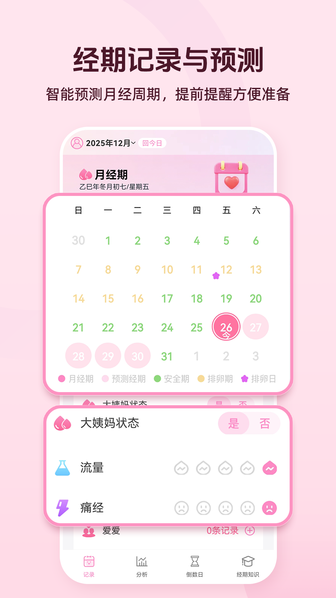 精彩截图-红柚大姨妈2026官方新版