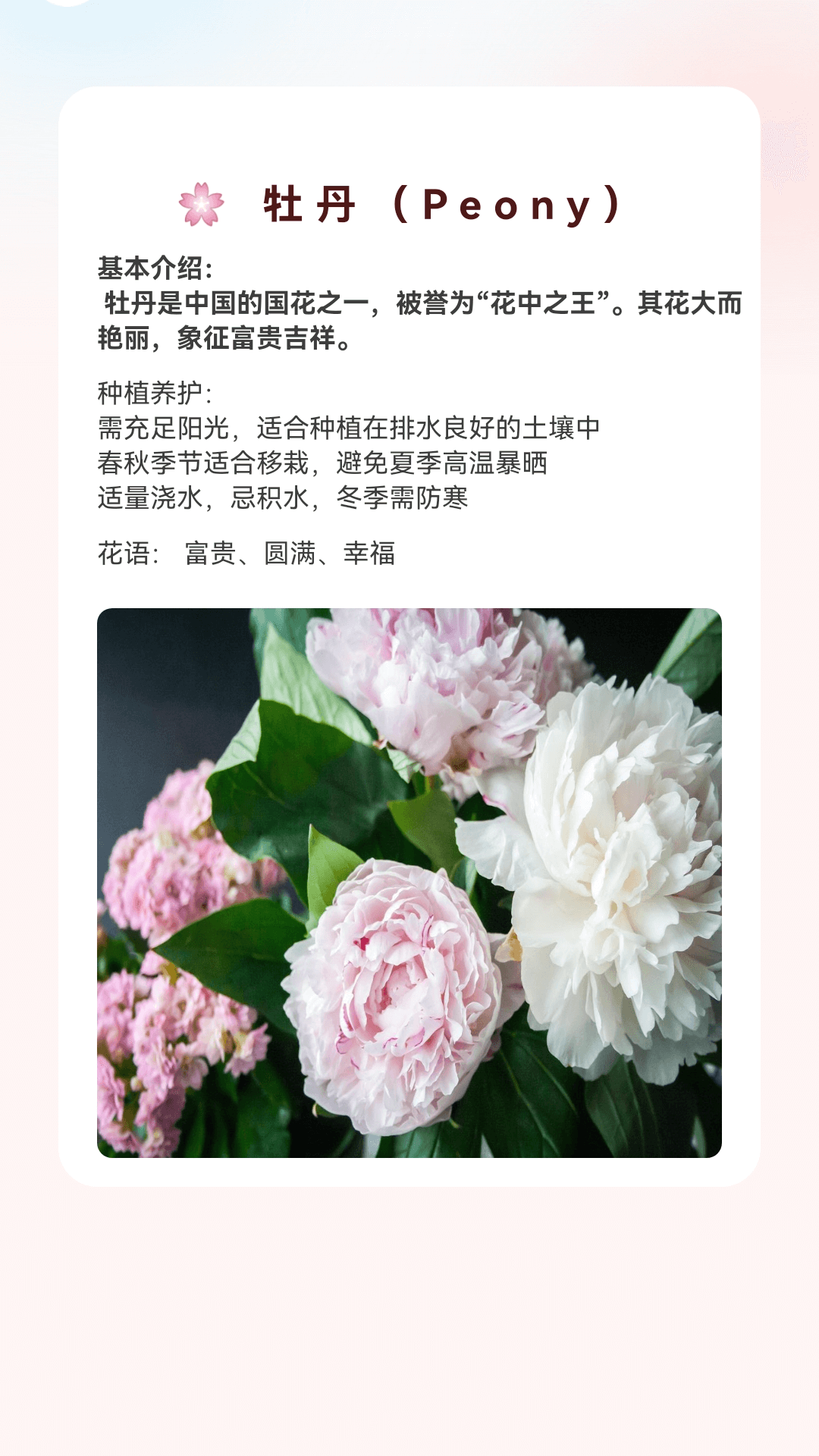 精彩截图-桃源乐看2026官方新版