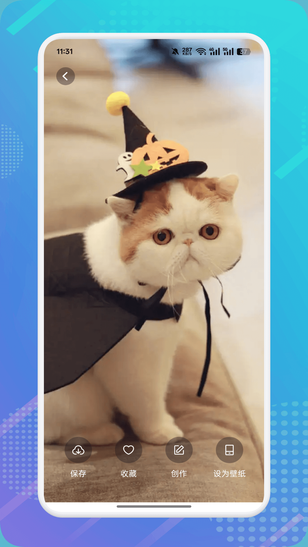 精彩截图-猫咪社区2026官方新版