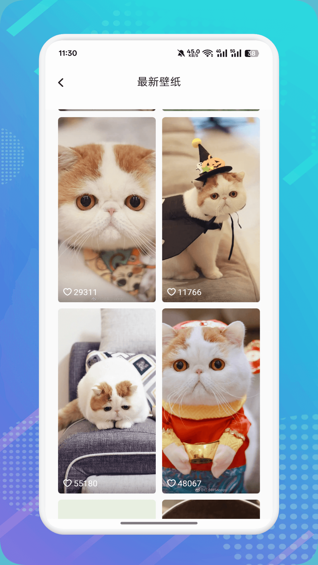 精彩截图-猫咪社区2026官方新版