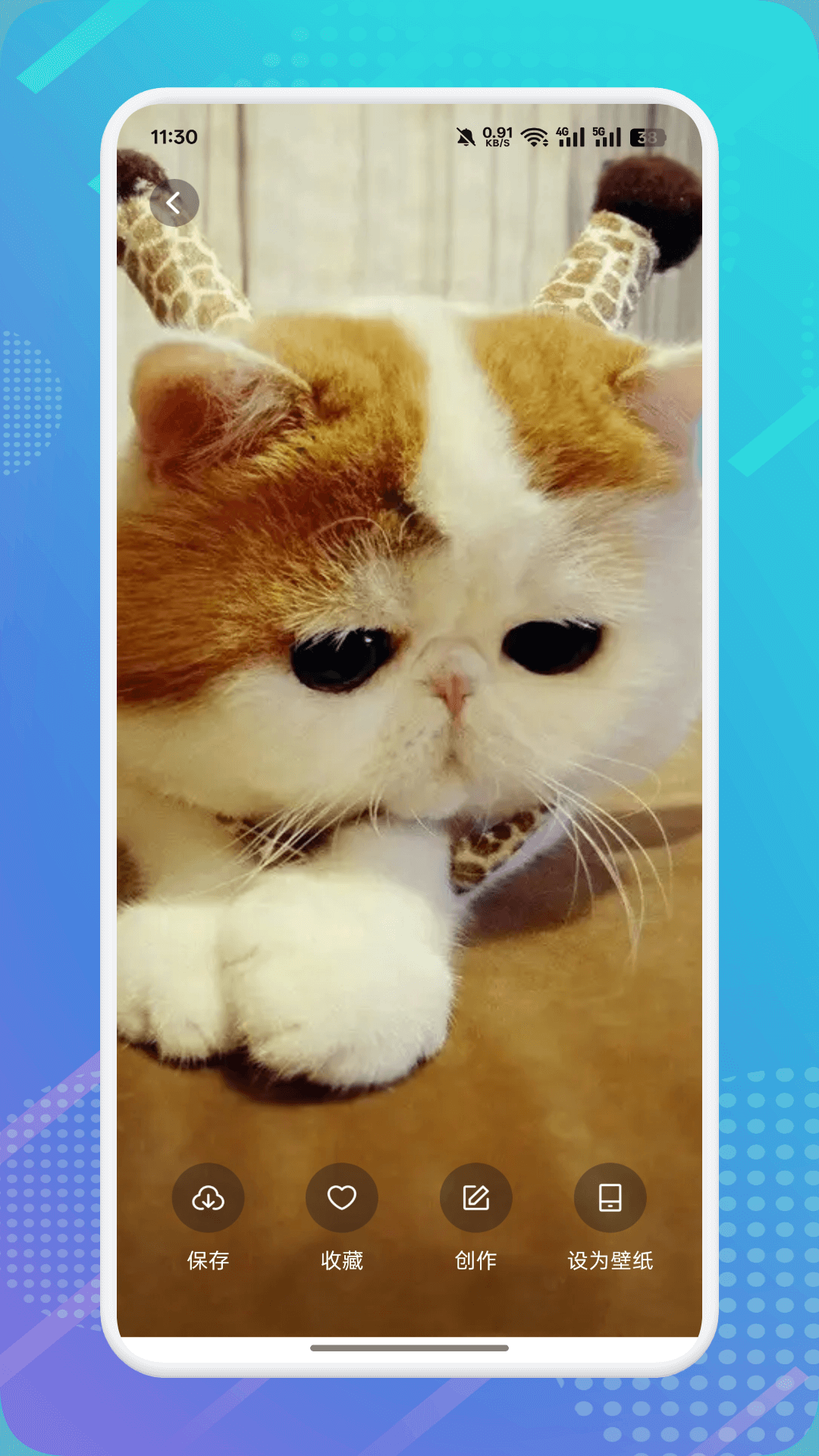 精彩截图-猫咪社区2026官方新版