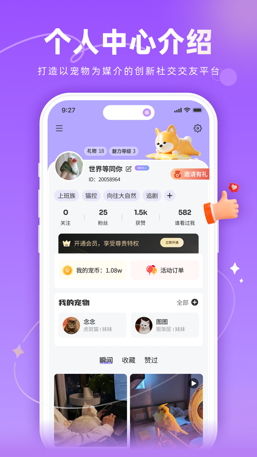 精彩截图-宠TA一生2026官方新版