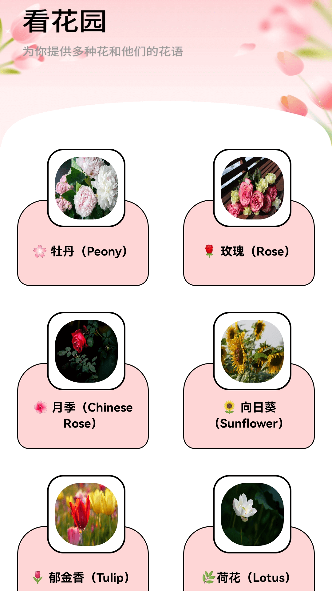 精彩截图-月光短剧2026官方新版