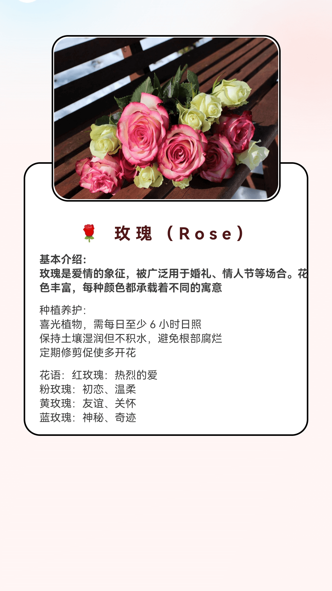 精彩截图-月光短剧2026官方新版