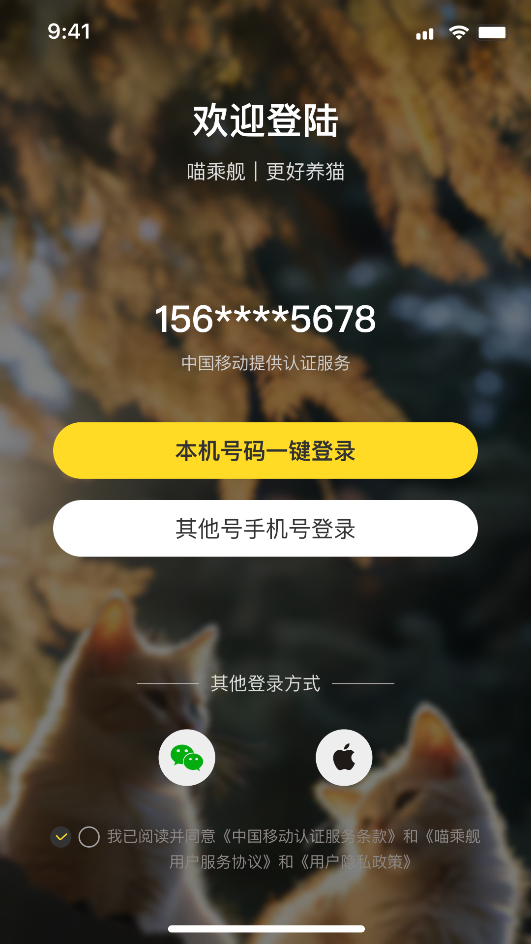 精彩截图-喵乘舰2026官方新版