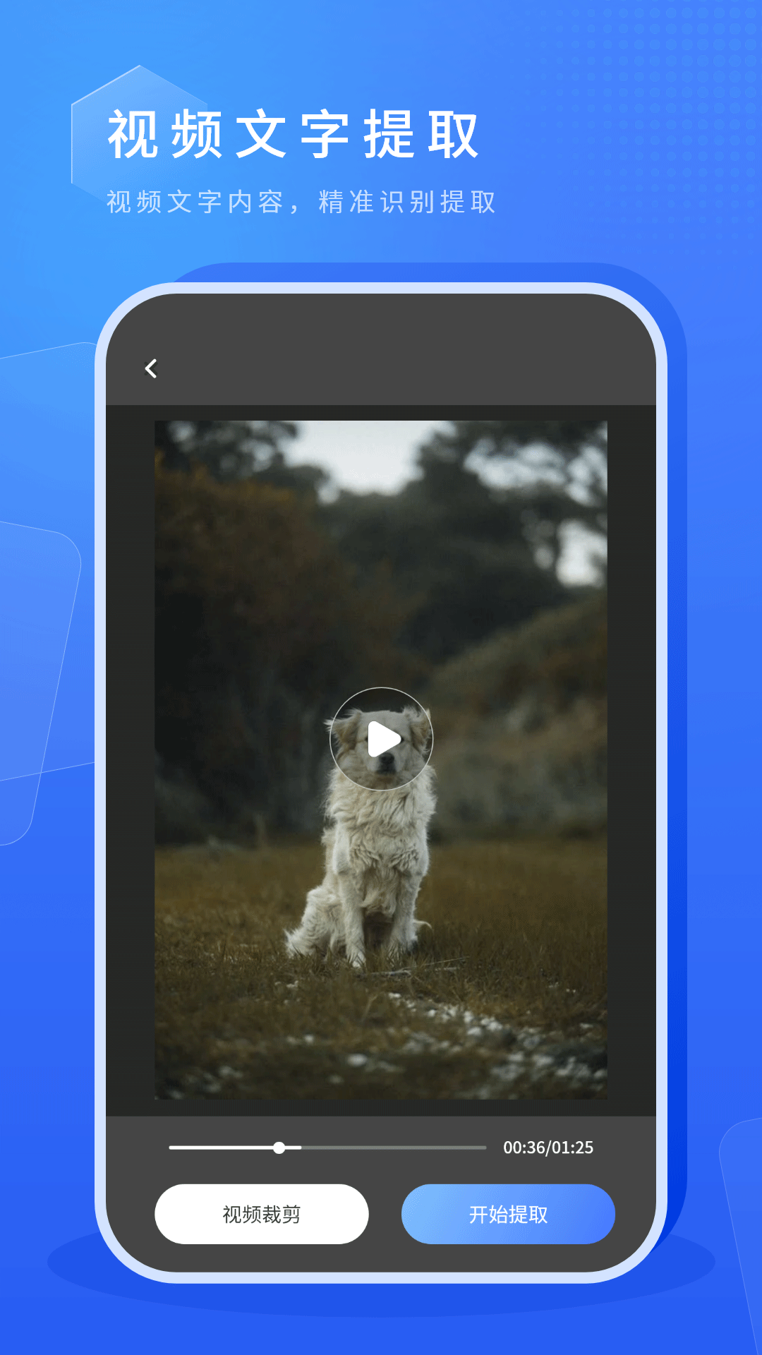 精彩截图-虚拟摄像头2026官方新版