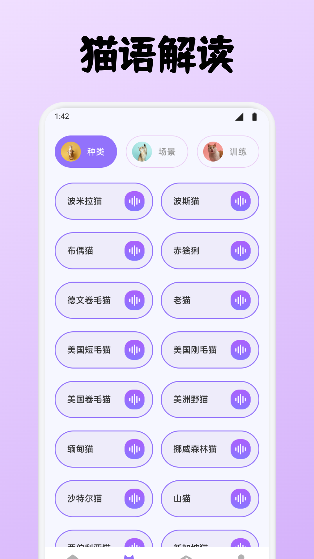 精彩截图-小猫玩具2026官方新版