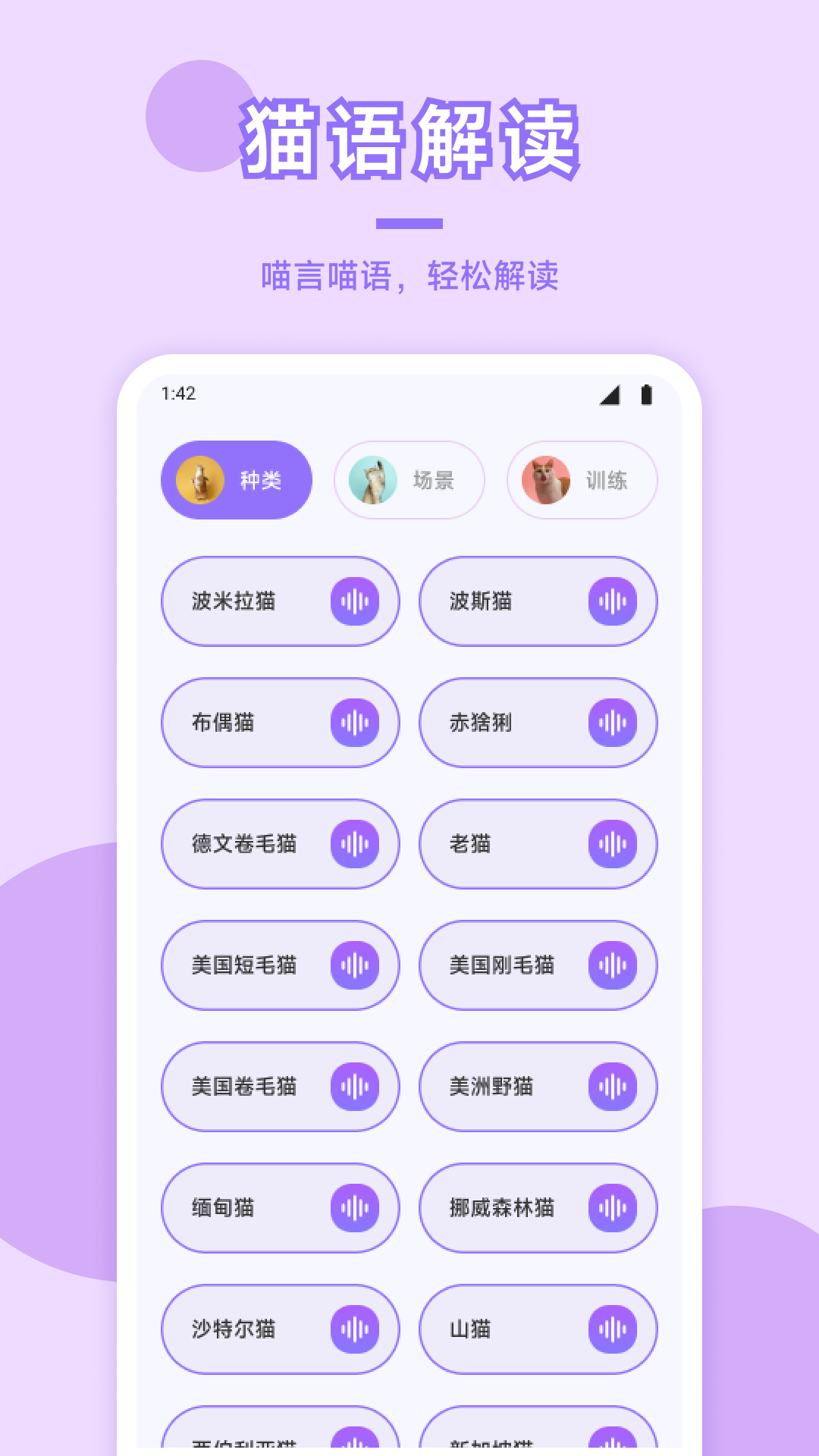 猫咪 截图 3