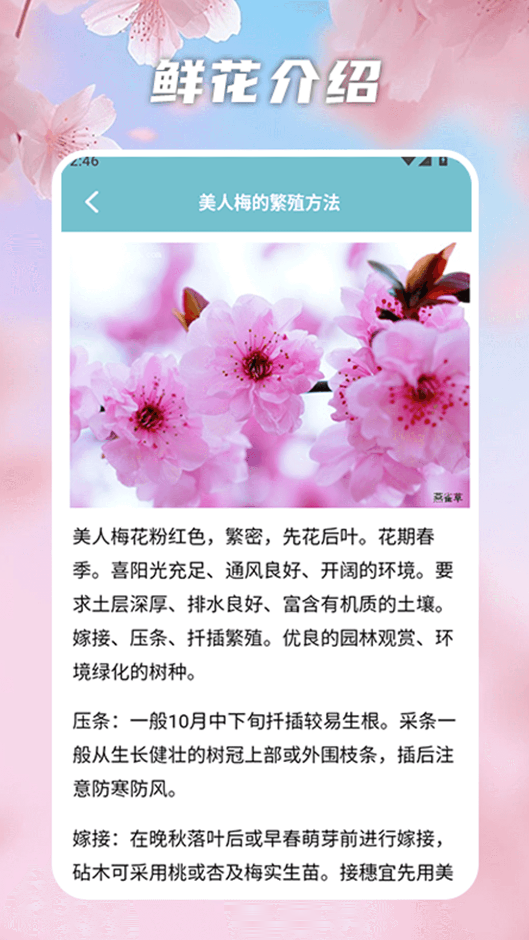 精彩截图-花开物语识别2026官方新版