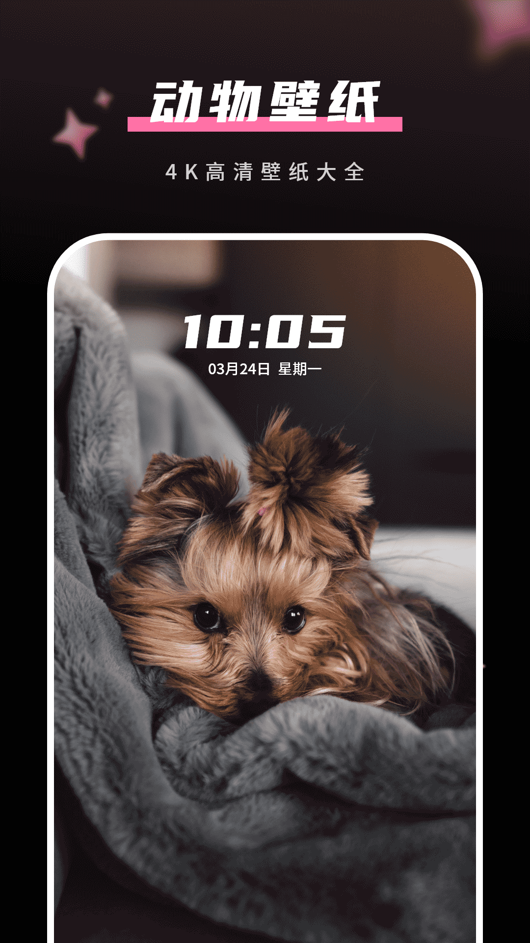 超清壁纸安卓版高清截图