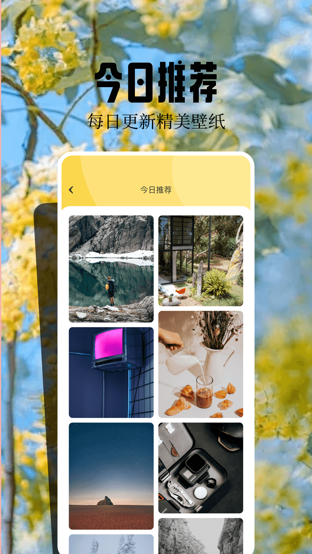 精彩截图-火花壁纸2026官方新版