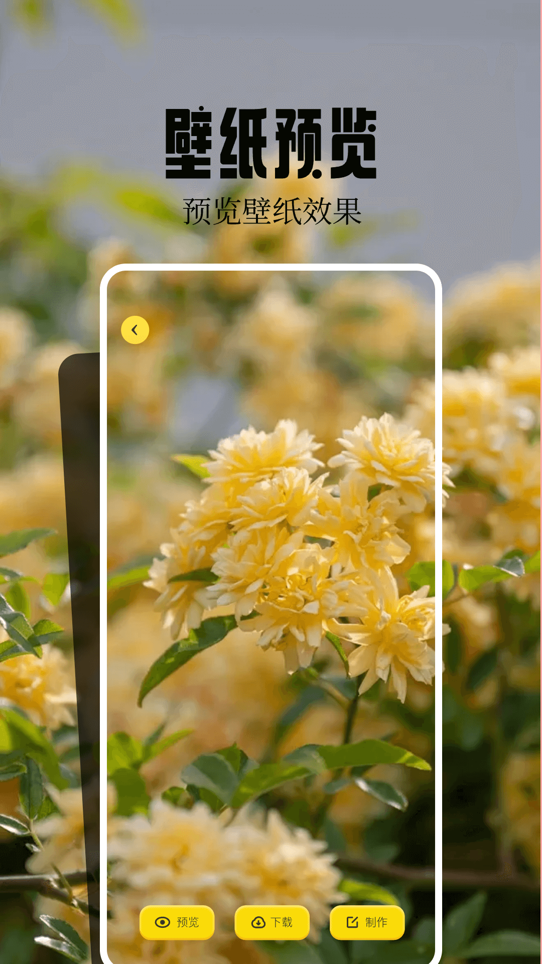 精彩截图-火花壁纸2026官方新版