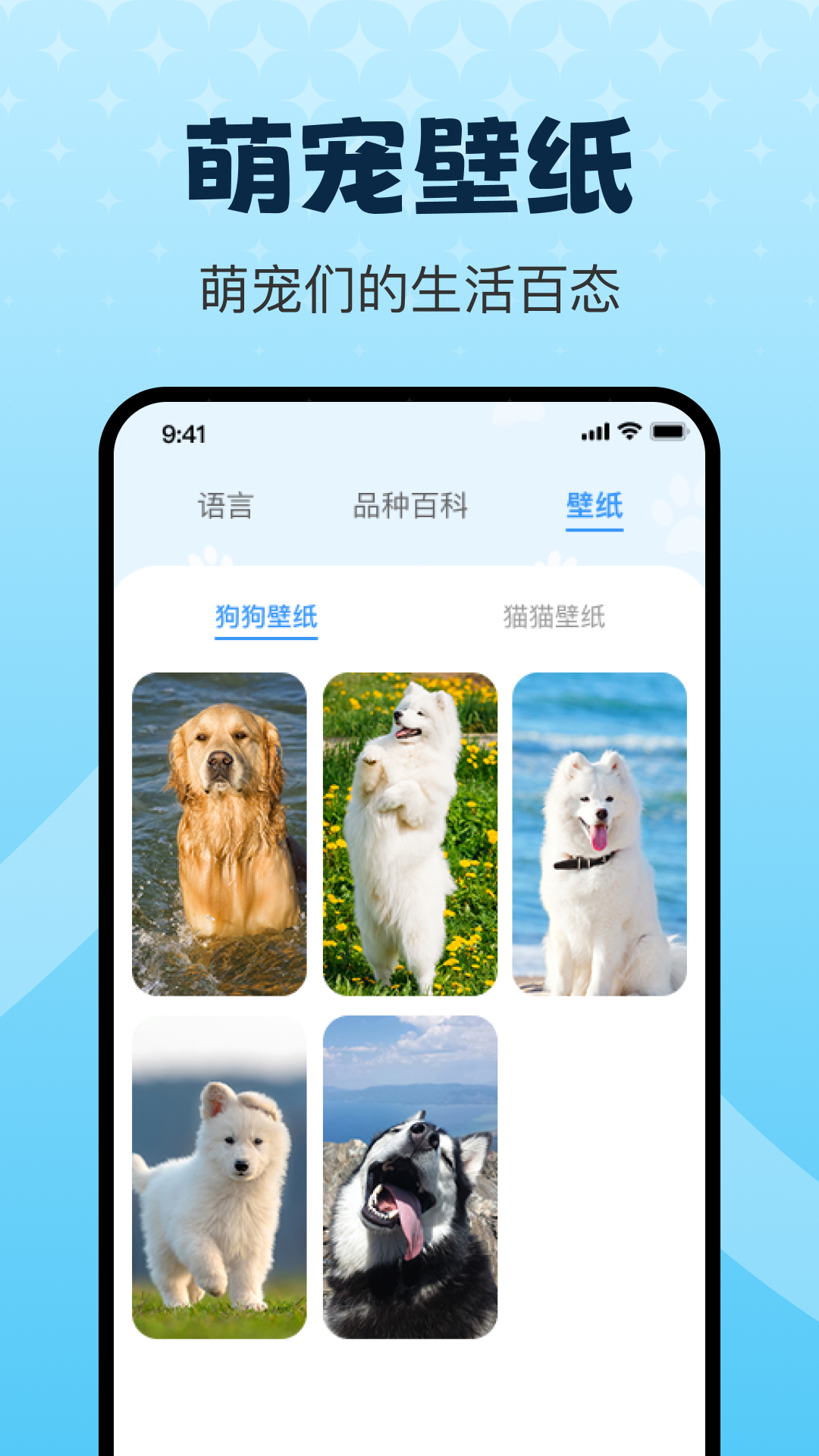 精彩截图-动物翻译器pet2025官方新版