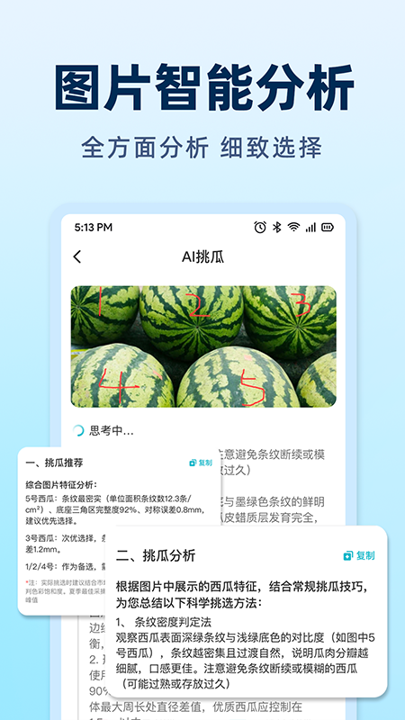 精彩截图-AI挑瓜2025官方新版