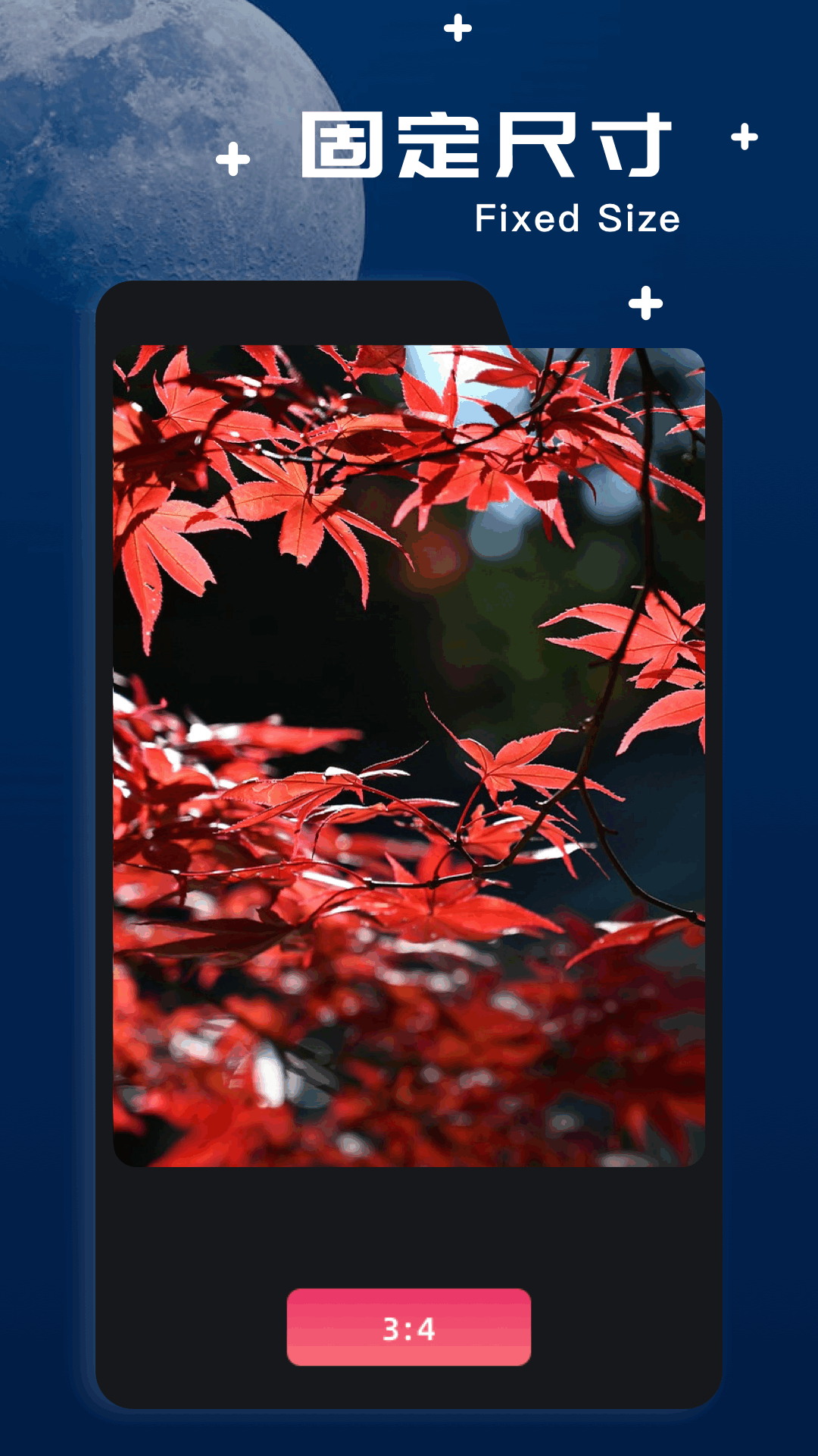 精彩截图-amaze文件管理器2026官方新版