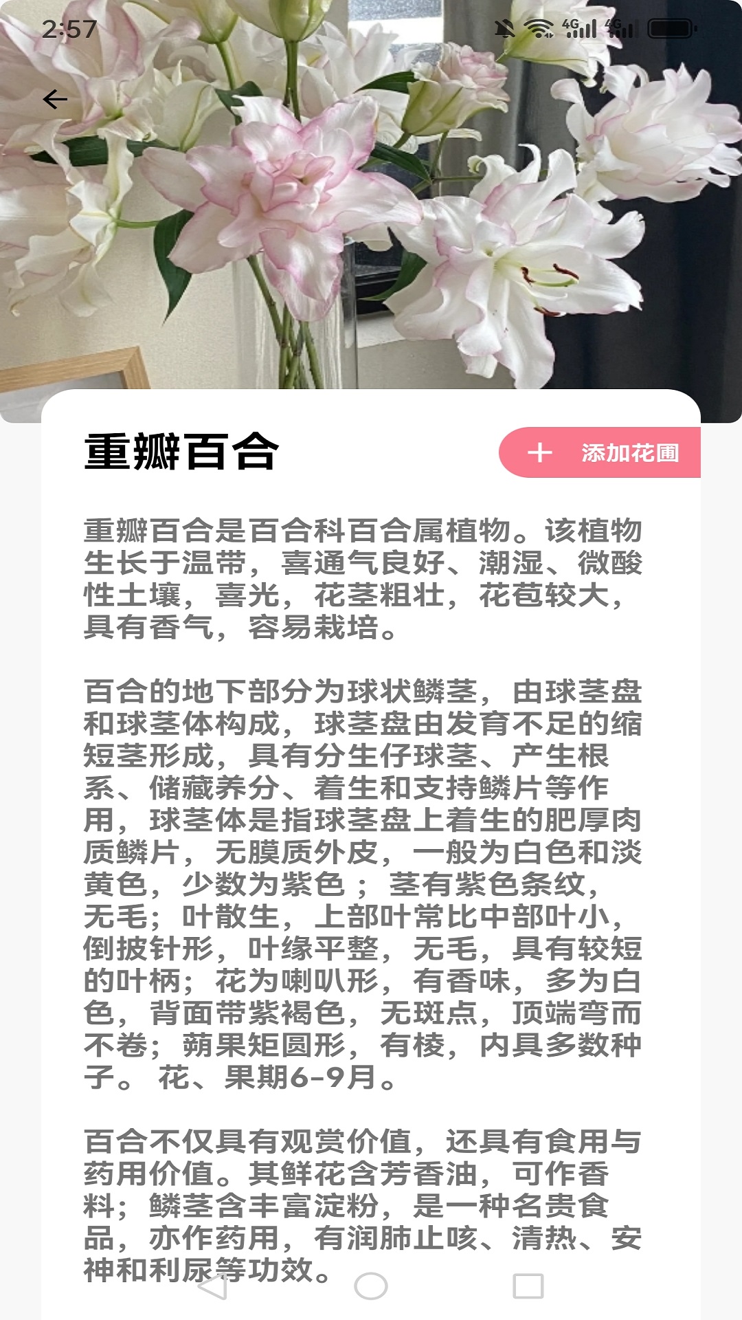 精彩截图-花伴2026官方新版