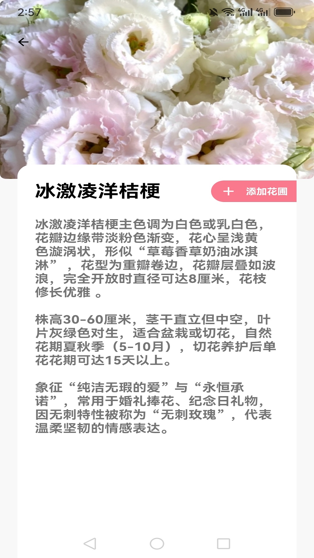 精彩截图-花伴2026官方新版