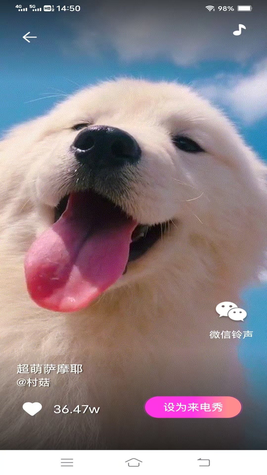 精彩截图-萌妹来电2026官方新版