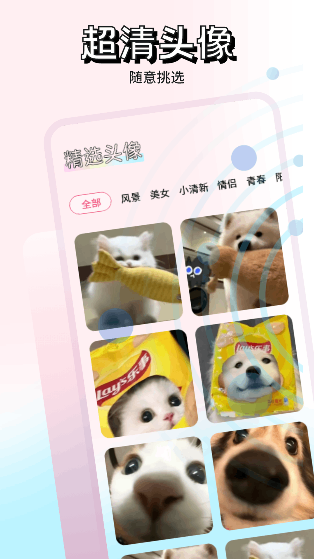 精彩截图-熊猫2025官方新版