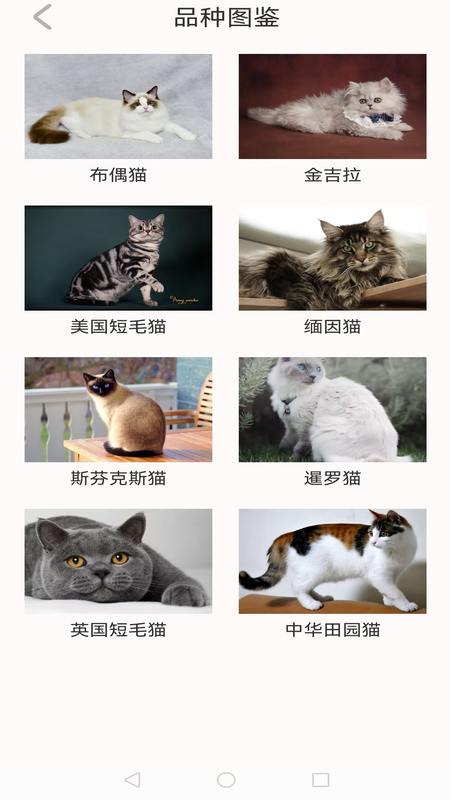 精彩截图-动物世界大全2026官方新版