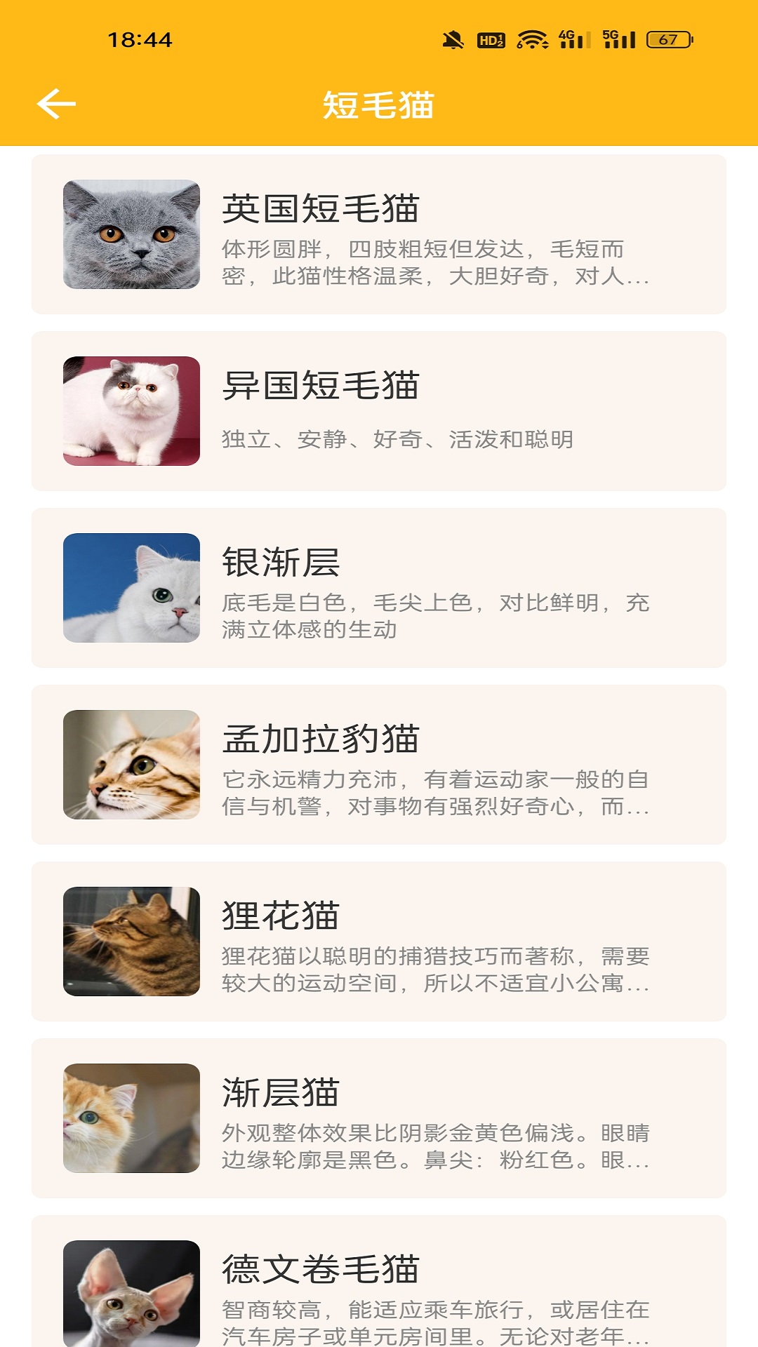 精彩截图-创意2026官方新版