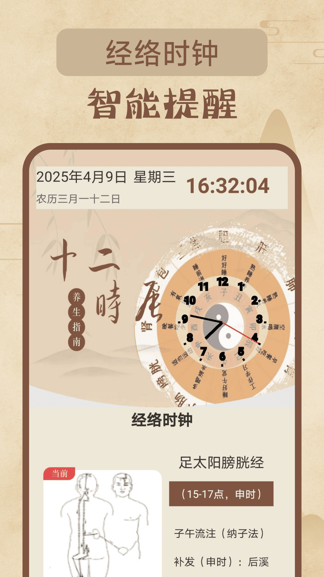 精彩截图-针灸经络穴位2026官方新版