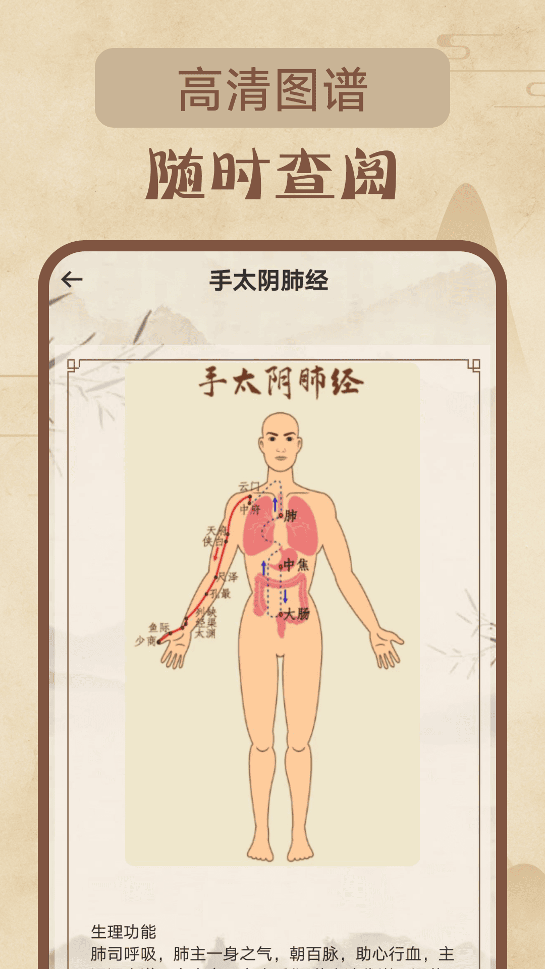 精彩截图-针灸经络穴位2026官方新版