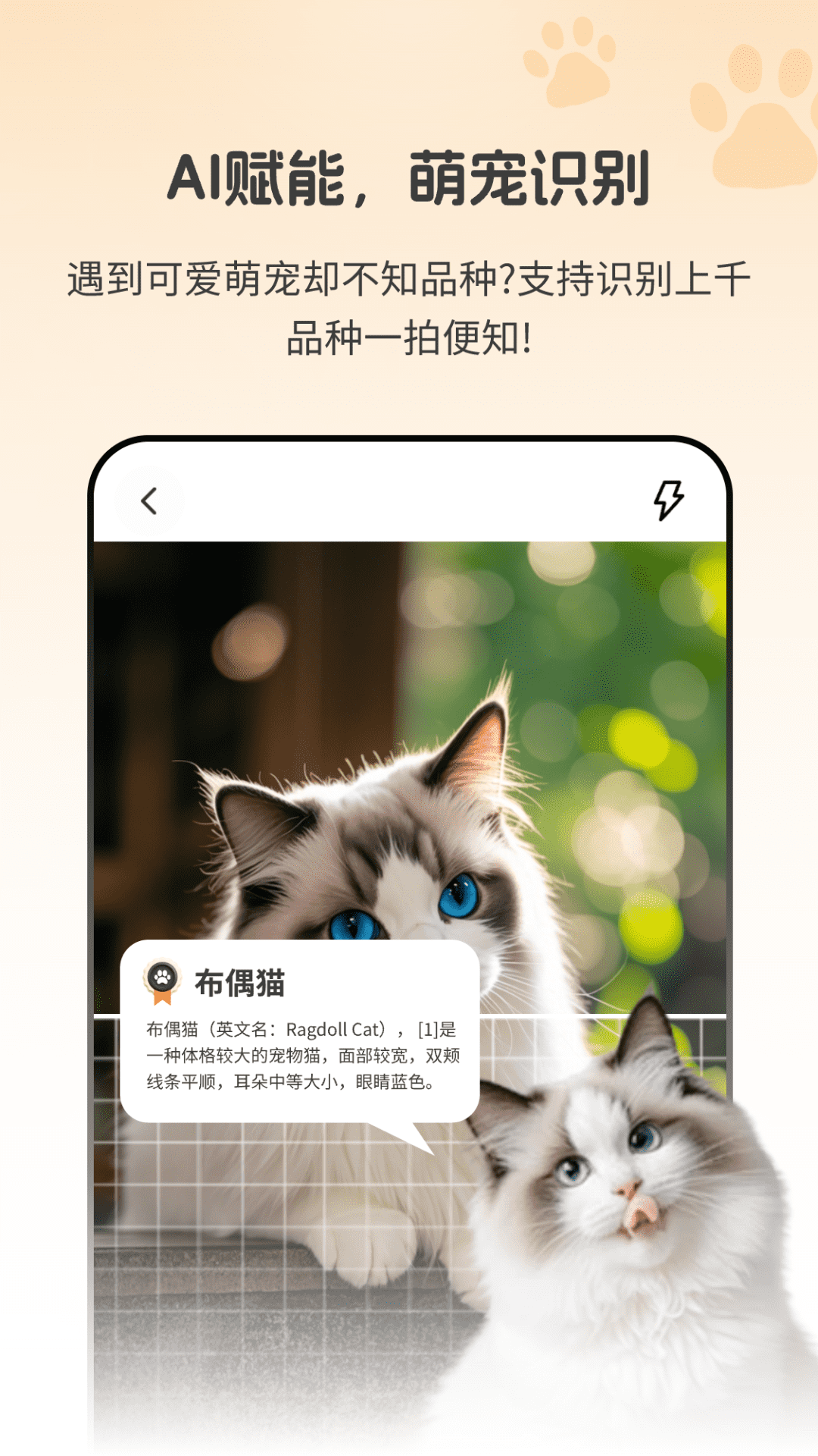 精彩截图-动物识别助手Zoon2025官方新版
