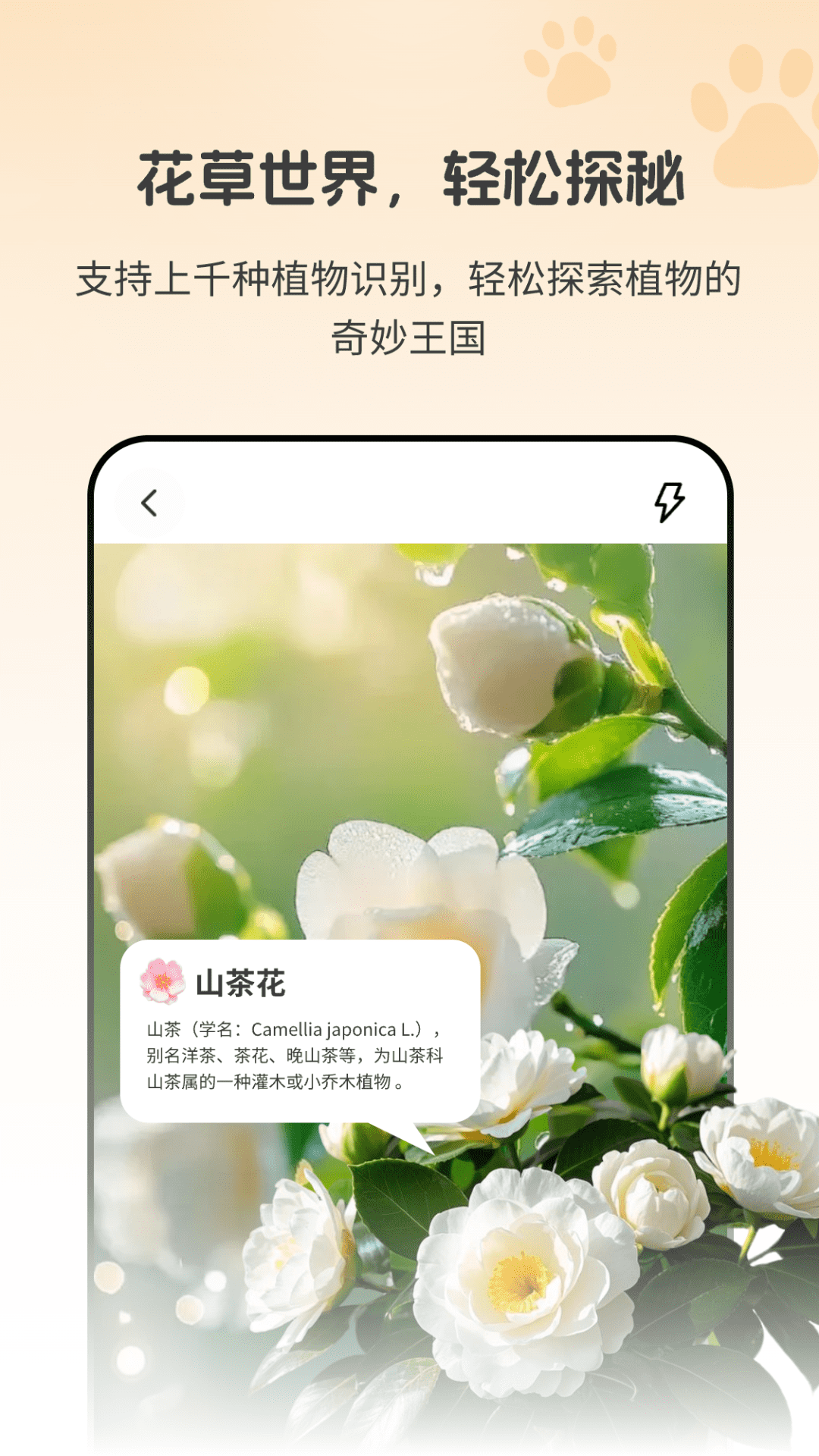 精彩截图-动物识别助手Zoon2025官方新版