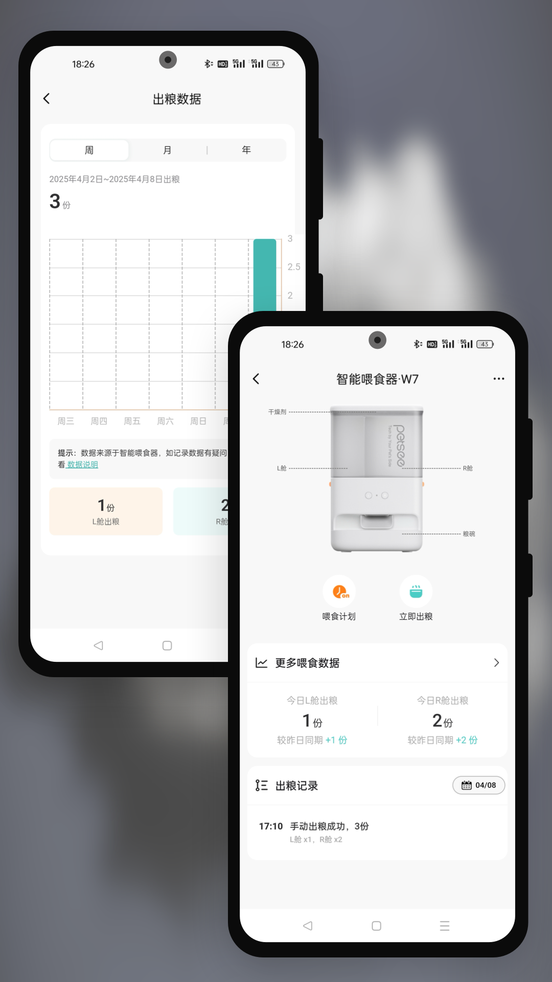 精彩截图-派兮宠物2026官方新版