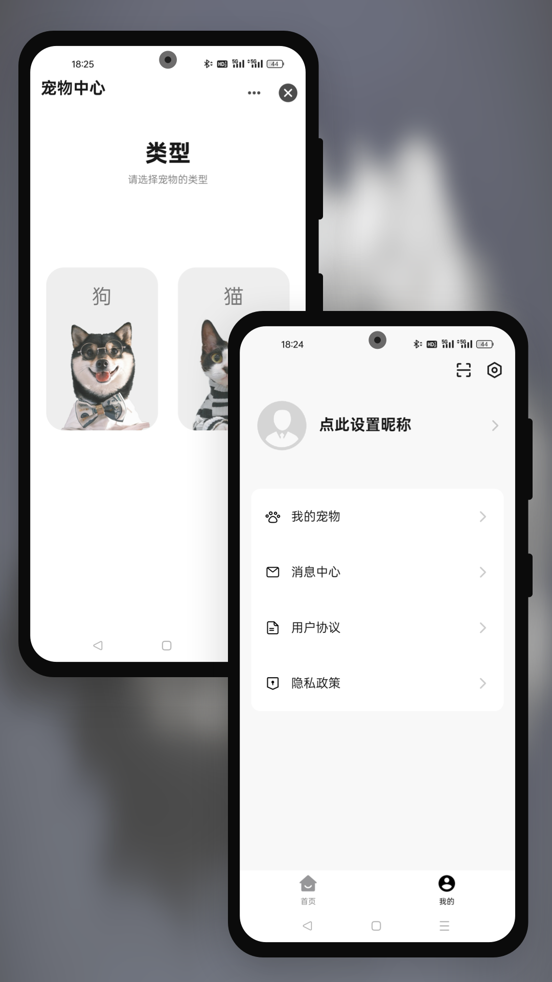 精彩截图-派兮宠物2026官方新版