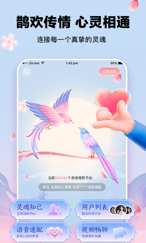 精彩截图-鹊欢2025官方新版