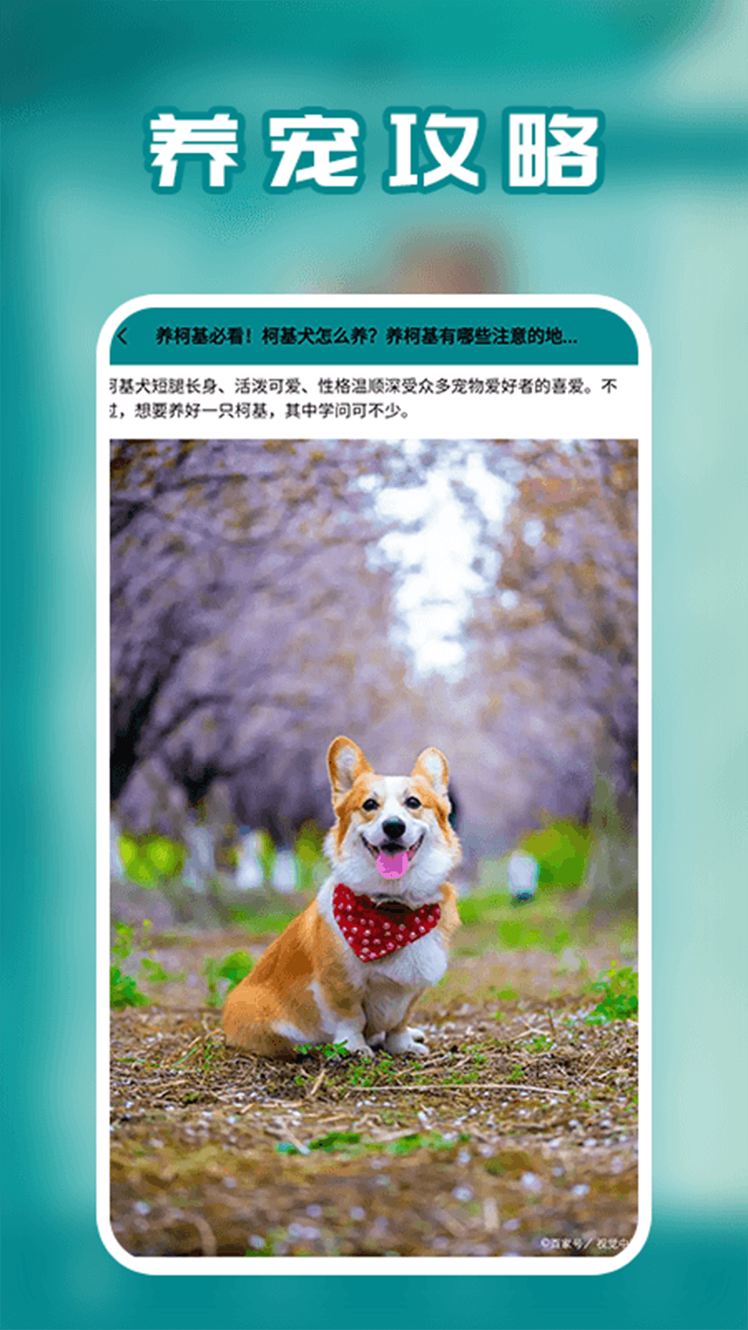 精彩截图-宠物交流器2026官方新版