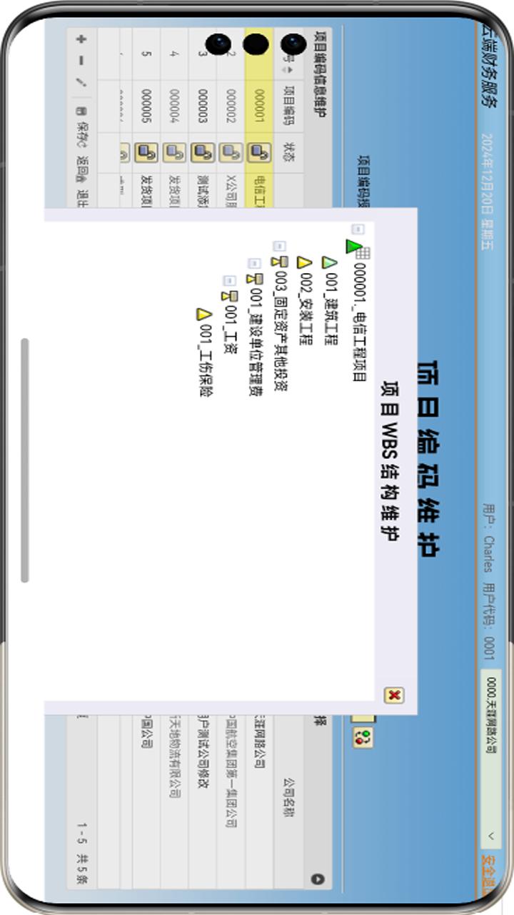 精彩截图-云端财务2025官方新版