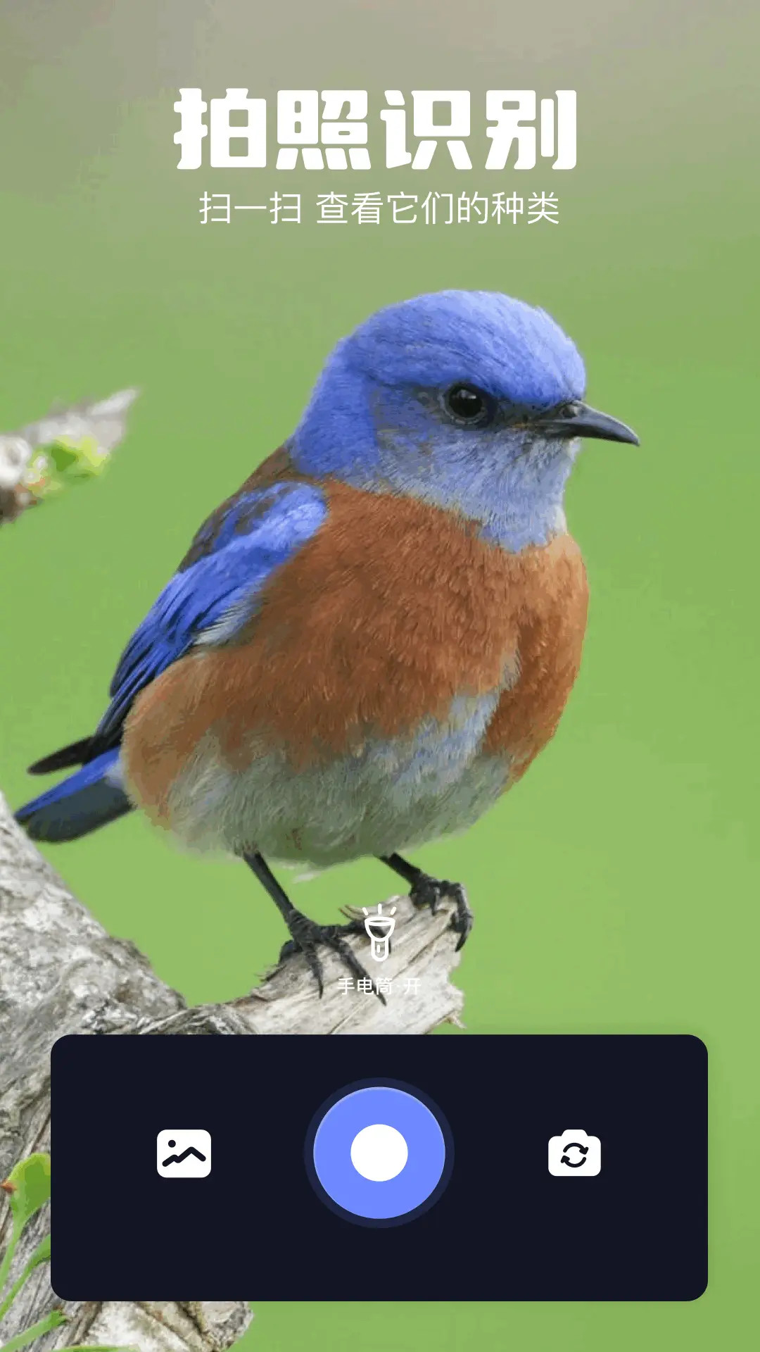 精彩截图-火焰鸟2026官方新版